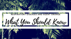 Respiratory Diseases and Agent Orange: What You Should Know