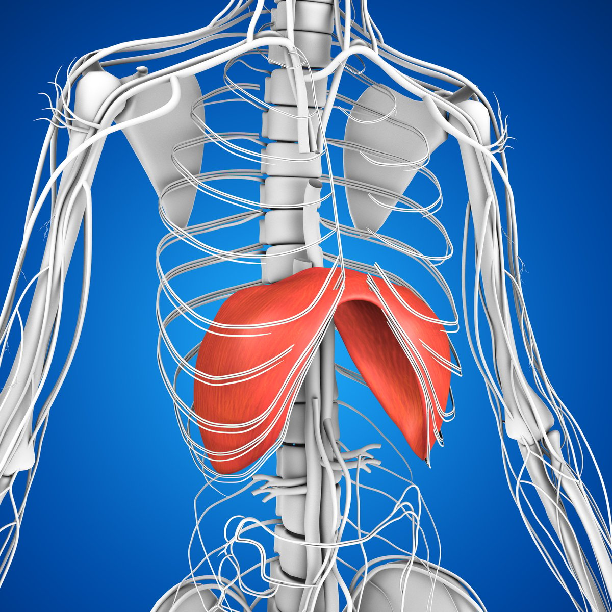 Hiccups: What They Are and How to Stop Them