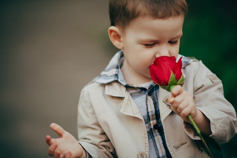 Подобрала мальчика. Мальчик с розой. Маленький мальчик с розой. Мальчик с розой в руках. Маленький мальчик с розой в руках.