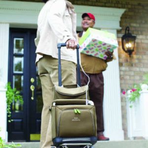 SimplyGo Travel Cart in Use